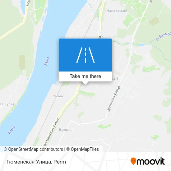 Тюменская Улица map