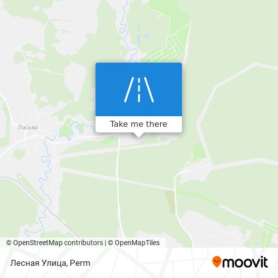 Лесная Улица map