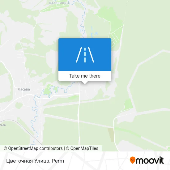 Цветочная Улица map