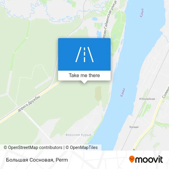 Большая Сосновая map
