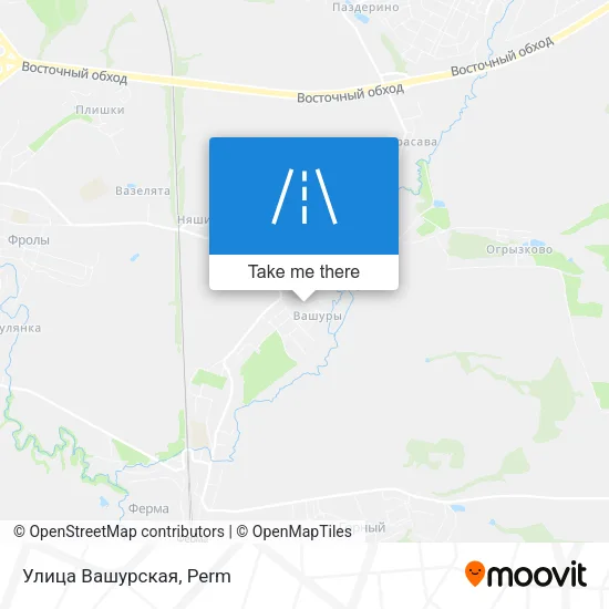 Улица Вашурская map