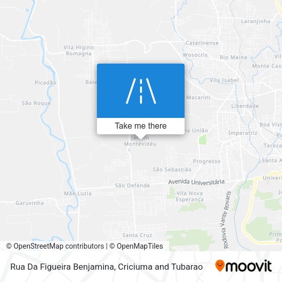 Rua Da Figueira Benjamina map