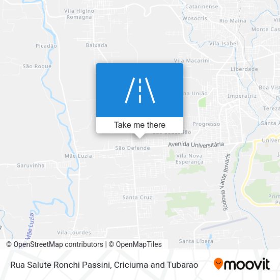 Rua Salute Ronchi Passini map