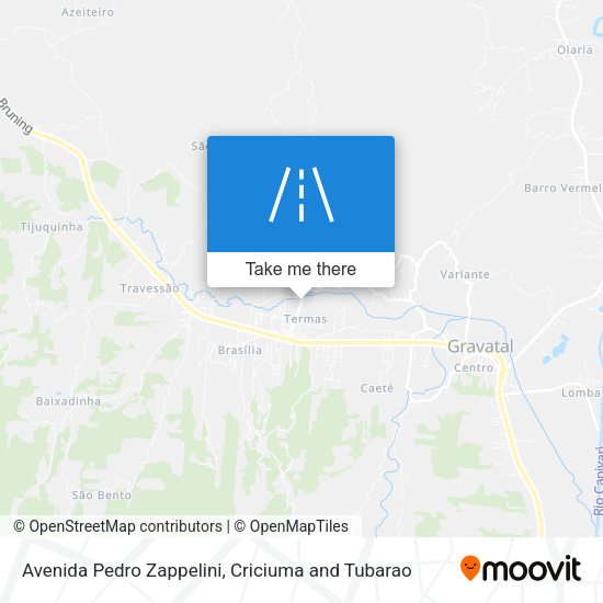Avenida Pedro Zappelini map