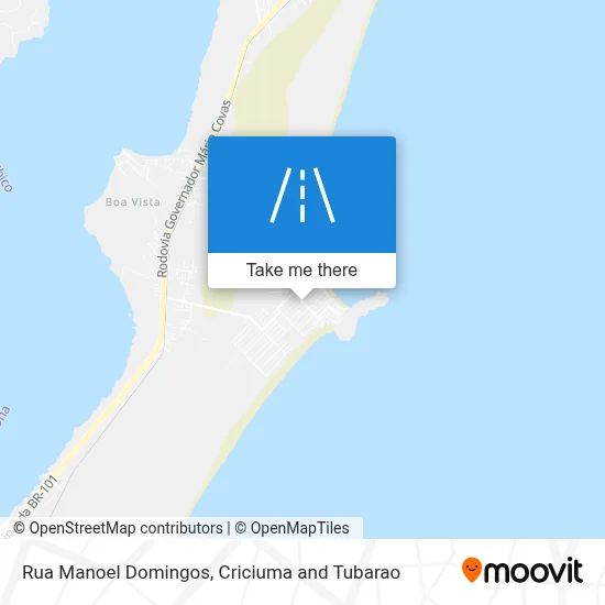 Rua Manoel Domingos map