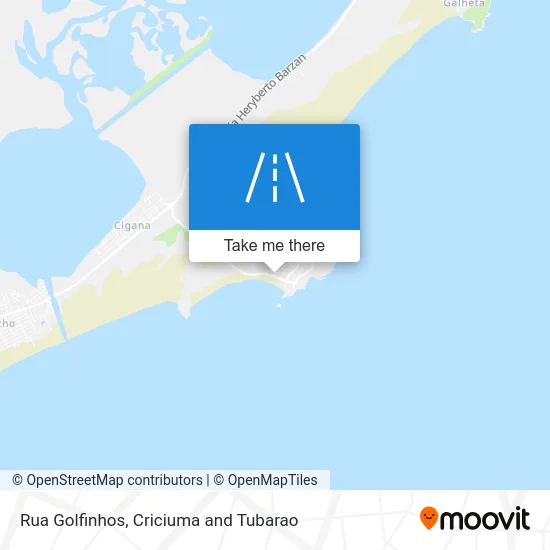 Rua Golfinhos map