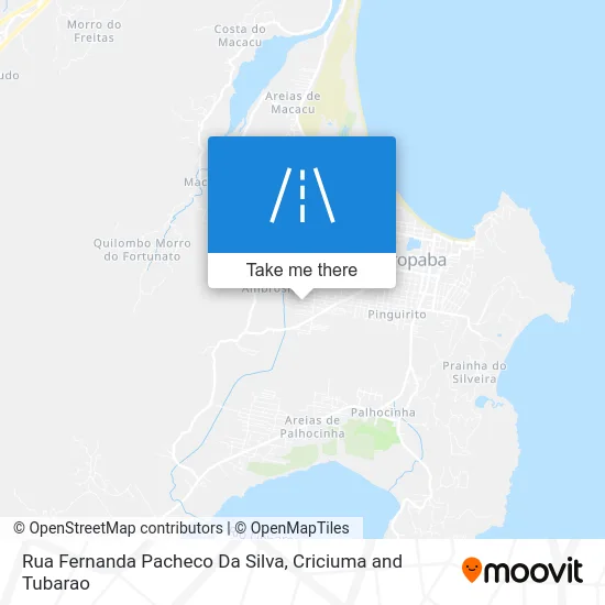 Rua Fernanda Pacheco Da Silva map