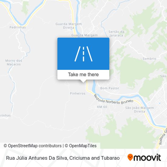 Rua Júlia Antunes Da Silva map
