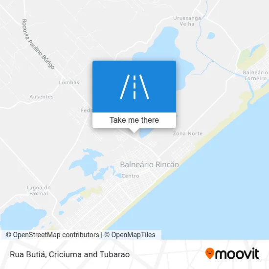 Rua Butiá map