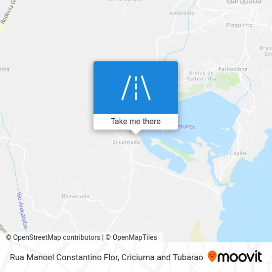 Rua Manoel Constantino Flor map