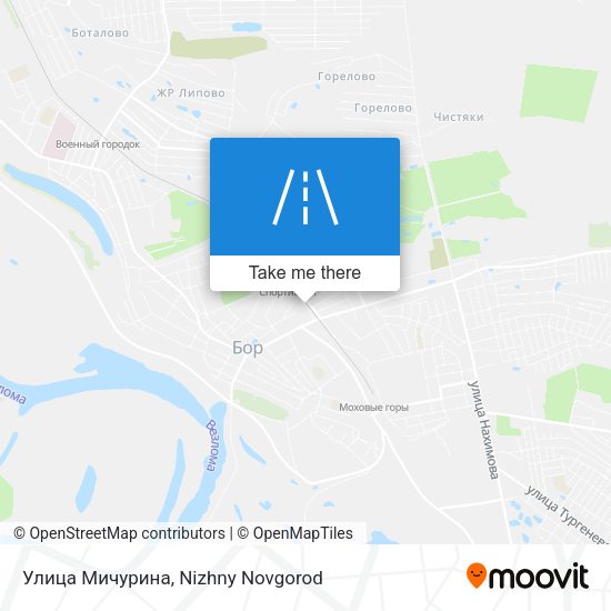 Улица Мичурина map