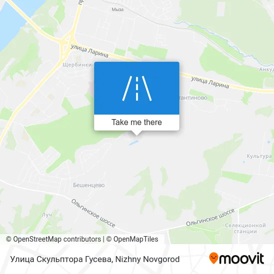 Улица Скульптора Гусева map