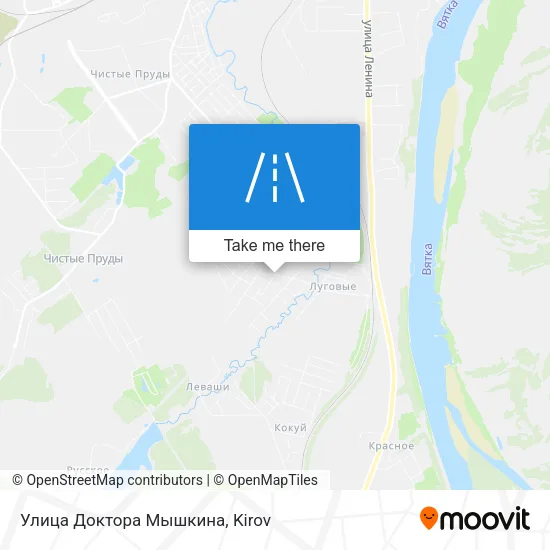 Улица Доктора Мышкина map