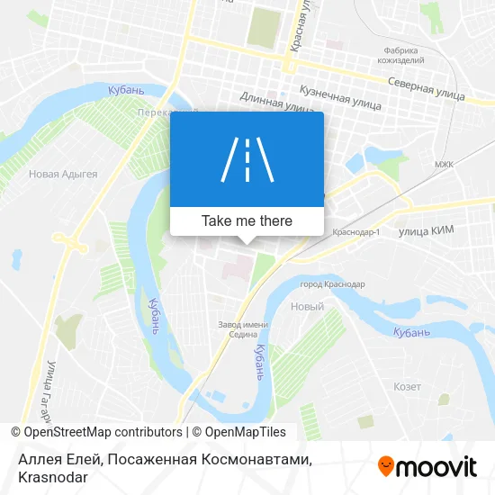 Аллея Елей, Посаженная Космонавтами map