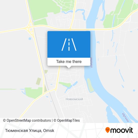 Тюменская Улица map