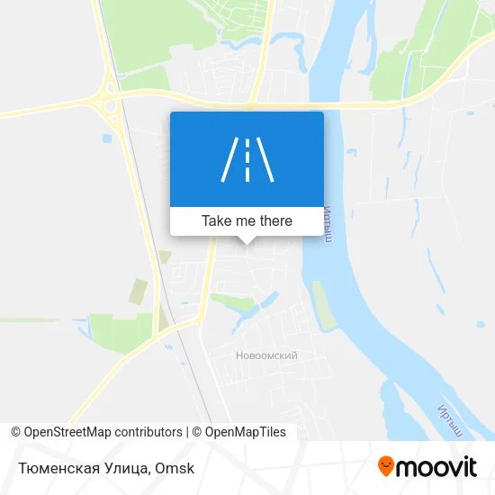 Тюменская Улица map