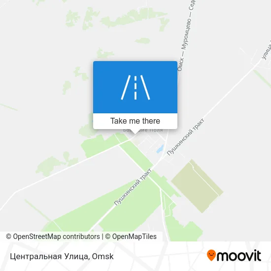 Центральная Улица map