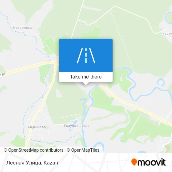 Лесная Улица map