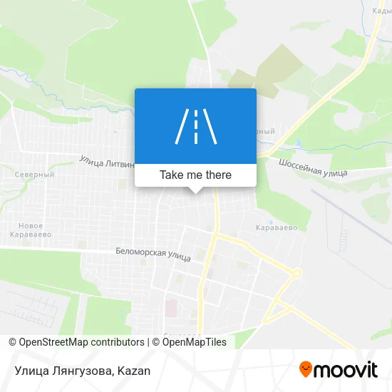 Улица Лянгузова map