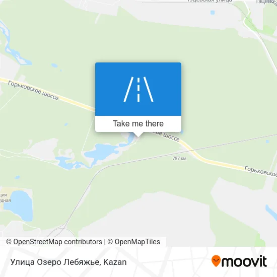 Улица Озеро Лебяжье map