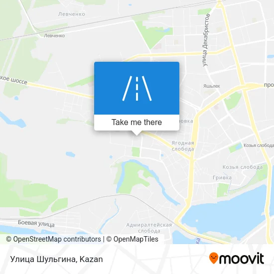 Улица Шульгина map