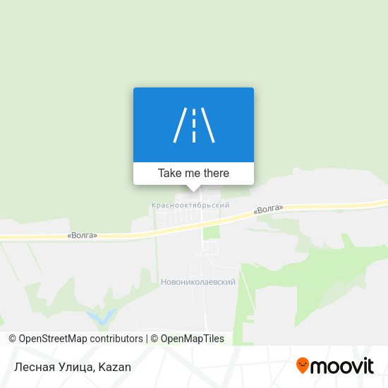 Лесная Улица map