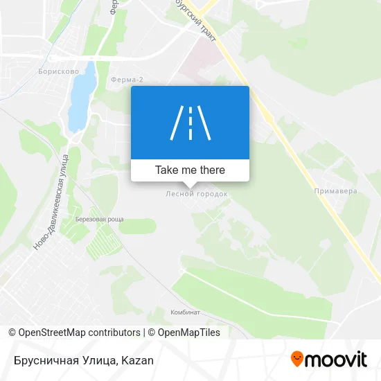 Брусничная Улица map