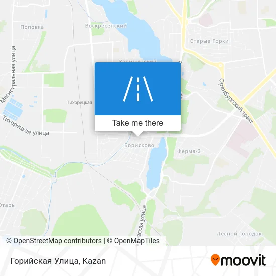 Горийская Улица map