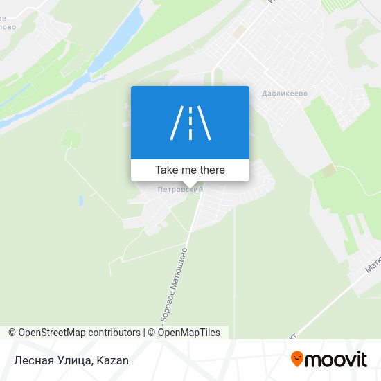 Лесная Улица map