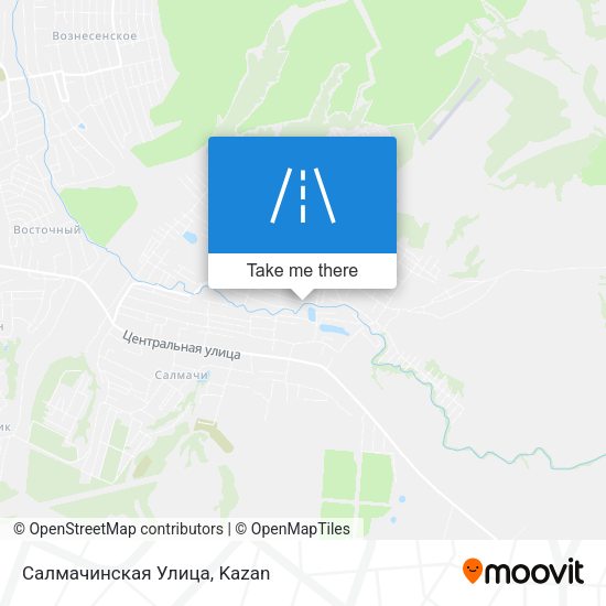 Салмачинская Улица map