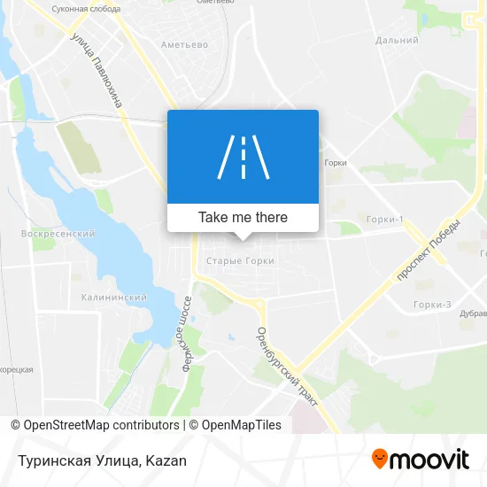 Туринская Улица map