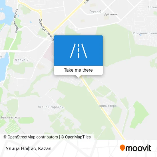 Улица Нэфис map