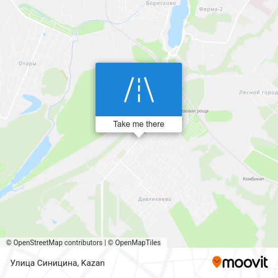Улица Синицина map