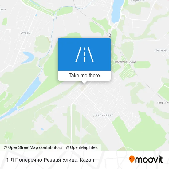 1-Я Поперечно-Резвая Улица map
