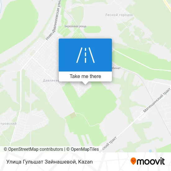 Улица Гульшат Зайнашевой map
