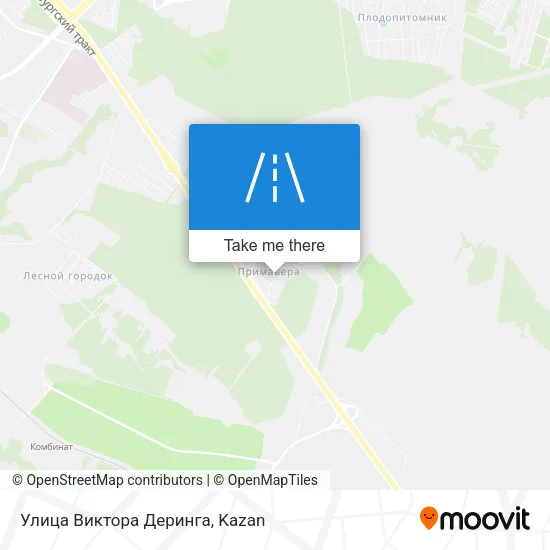 Улица Виктора Деринга map