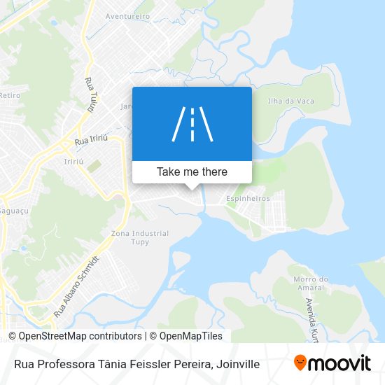 Rua Professora Tânia Feissler Pereira map