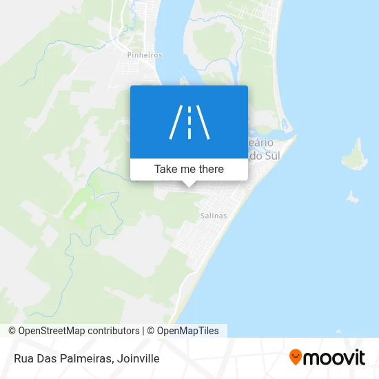 Rua Das Palmeiras map