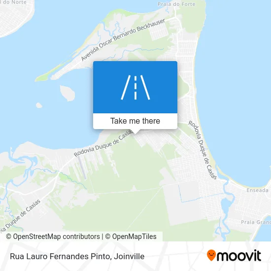 Rua Lauro Fernandes Pinto map