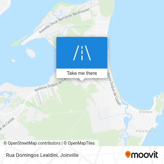Rua Domingos Lealdini map