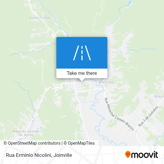 Rua Erminio Nicolini map
