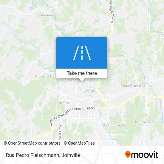 Rua Pedro Fleischmann map