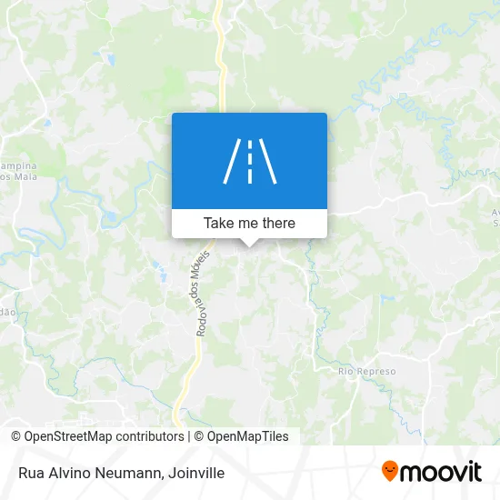 Rua Alvino Neumann map