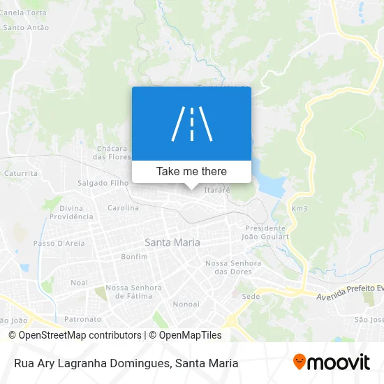Rua Ary Lagranha Domingues map