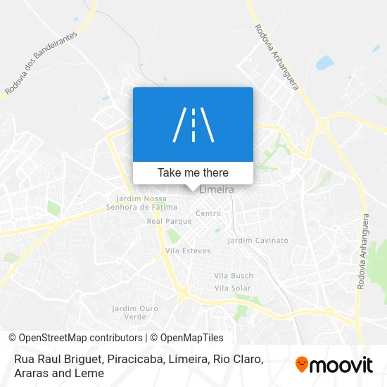 Rua Raul Briguet map