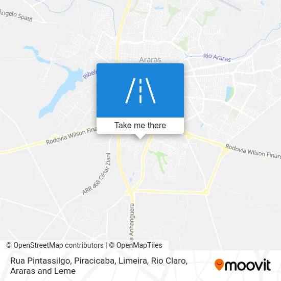 Rua Pintassilgo map