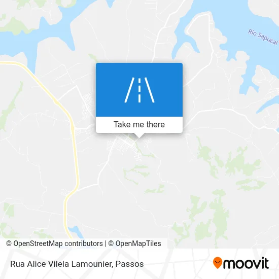 Rua Alice Vilela Lamounier map