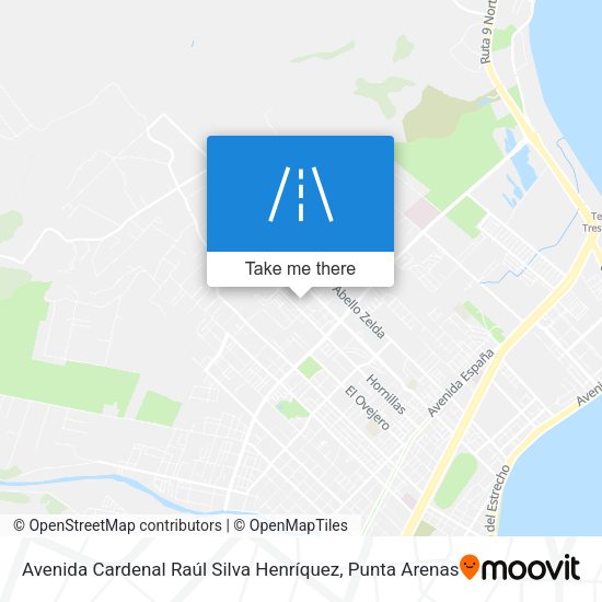 Avenida Cardenal Raúl Silva Henríquez map