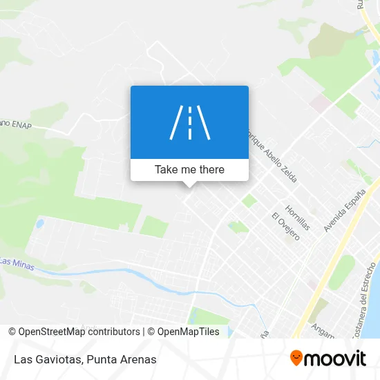 Las Gaviotas map