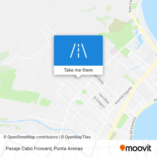 Pasaje Cabo Froward map